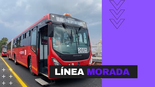Linea Morada